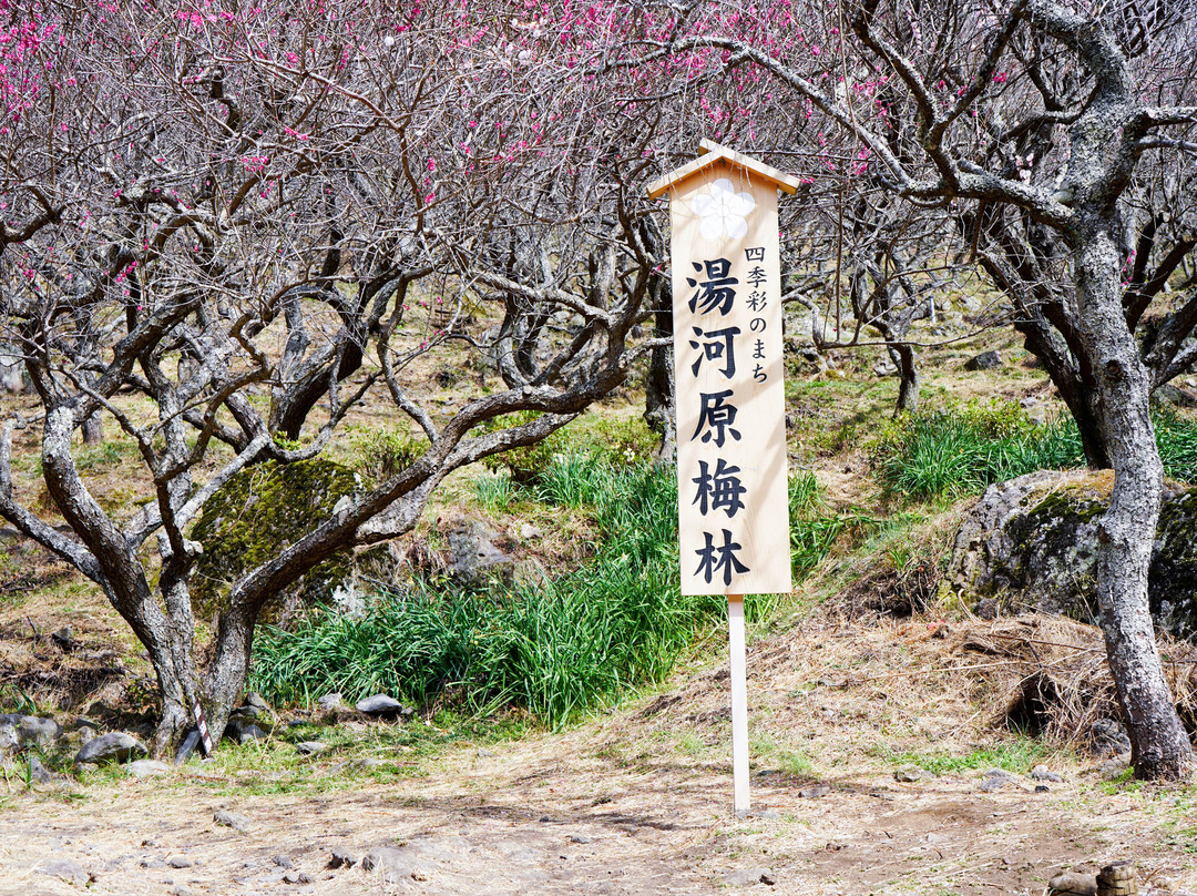 Yugawara Bairin-汤河原町必去景点