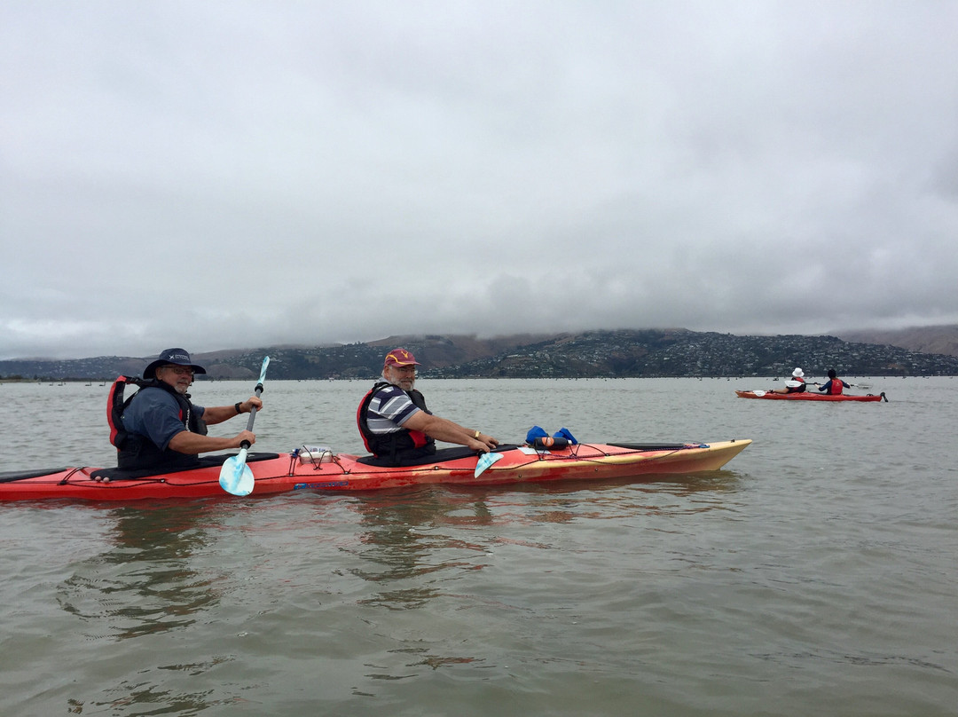 Christchurch Sea Kayaking-基督城必去景点