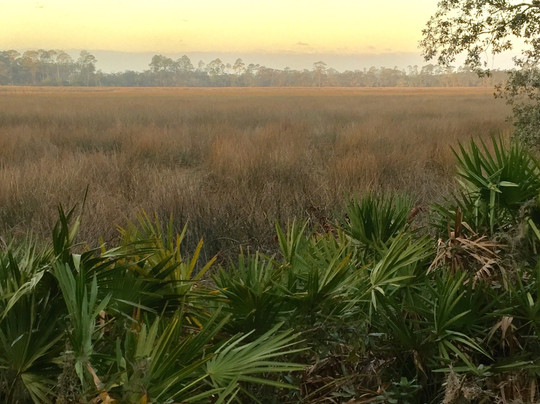 Faver-Dykes State Park-圣奥古斯丁必去景点