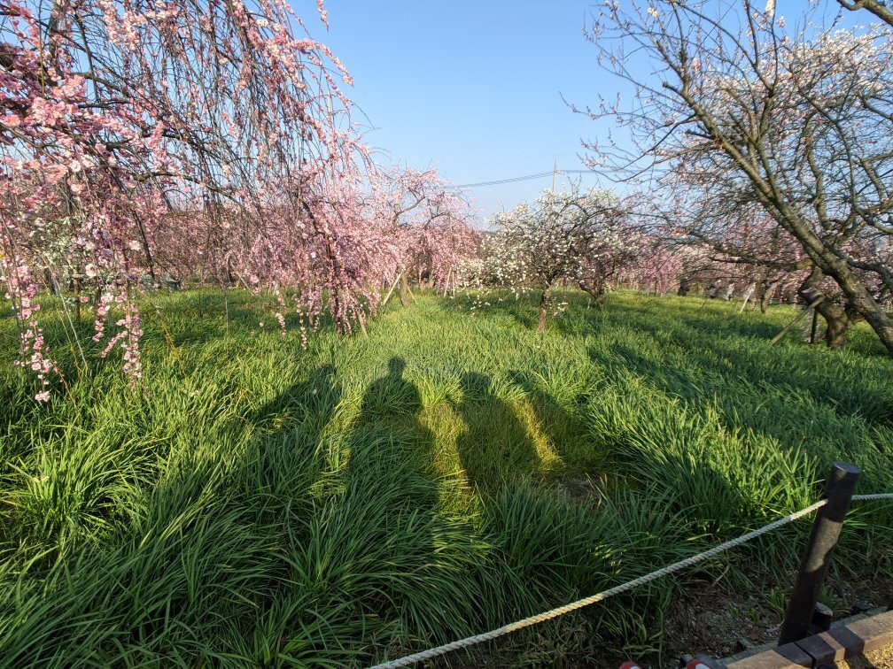 Izumi Recycle Environment Park-和泉市必去景点