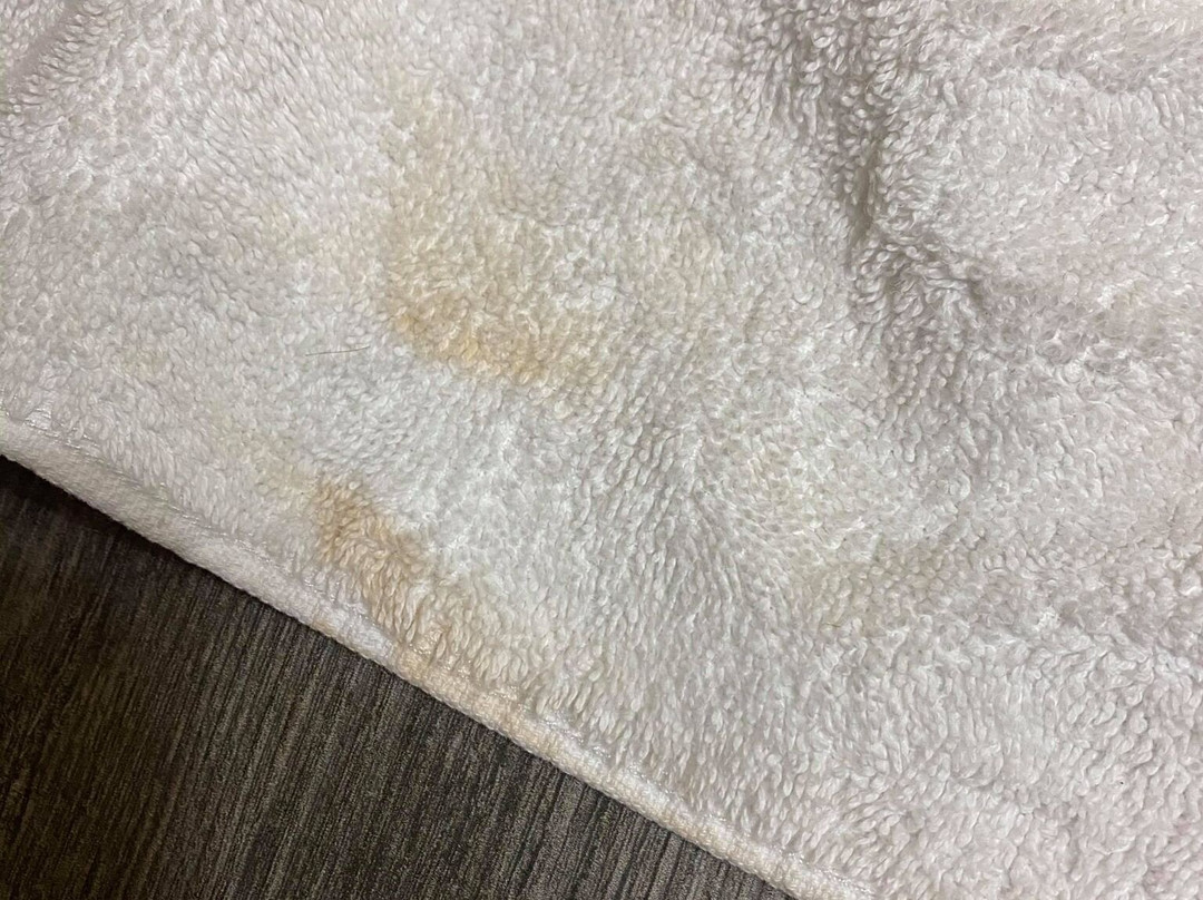 格林维尔贝斯特韦斯特酒店主图