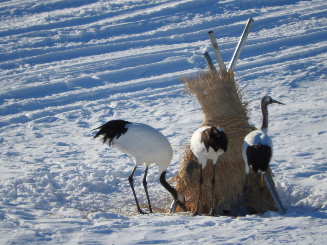 十胜川温泉第一酒店主图