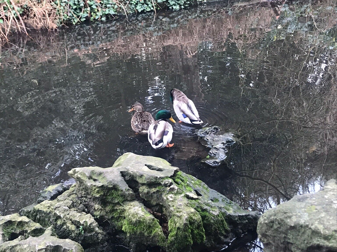New River Walk-伦敦必去景点