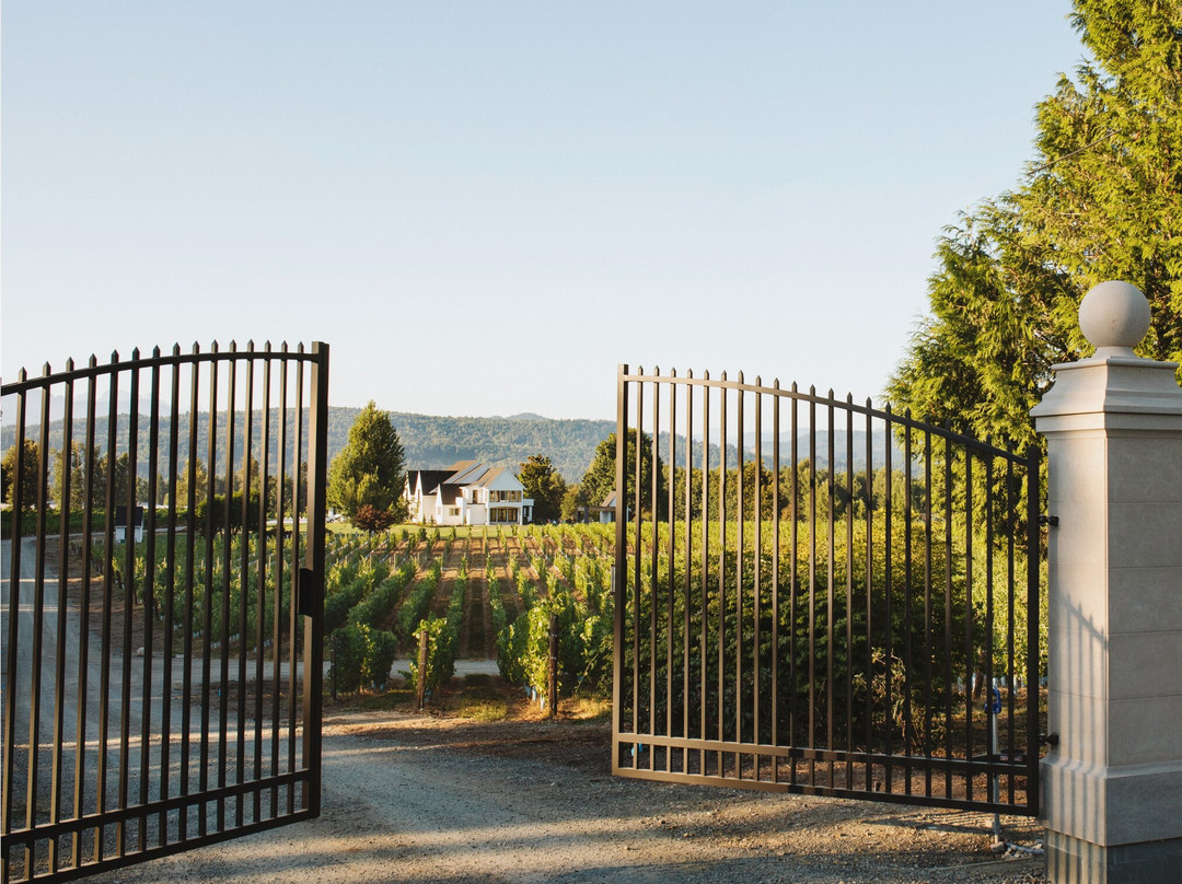 Cannon Estate Winery