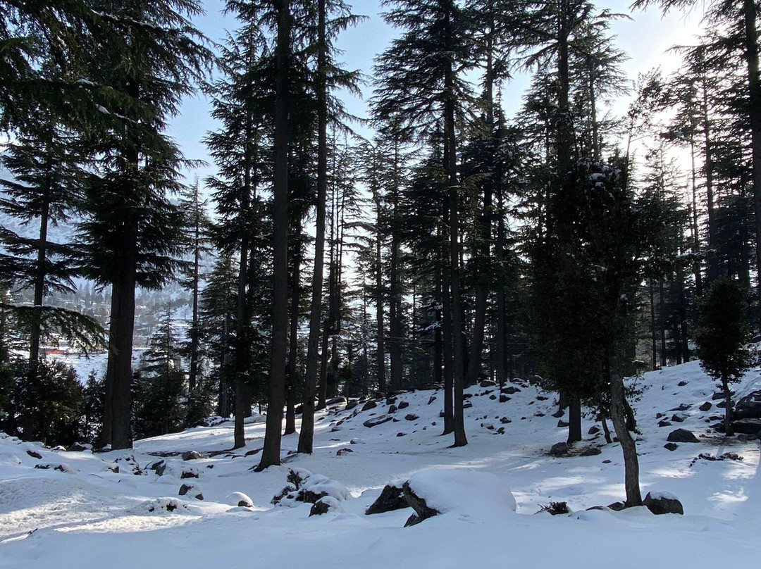 Kalam Forest-Kalam必去景点
