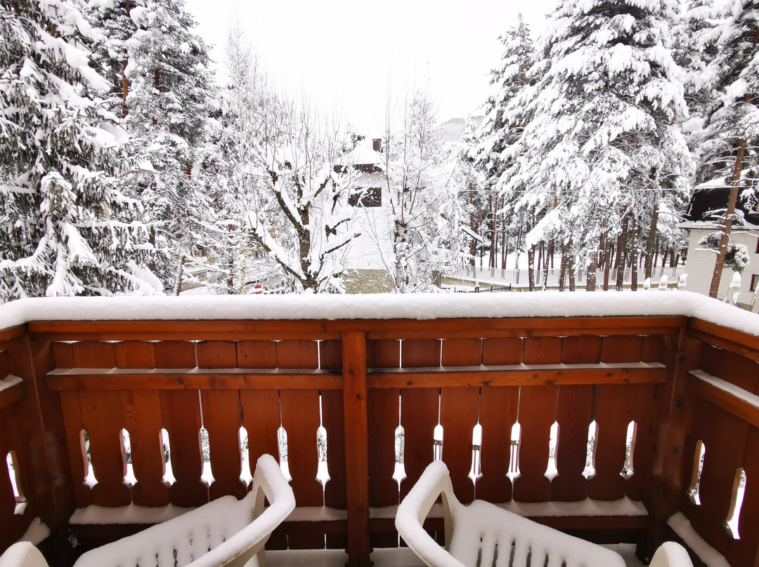 Hotel La Quiete主图