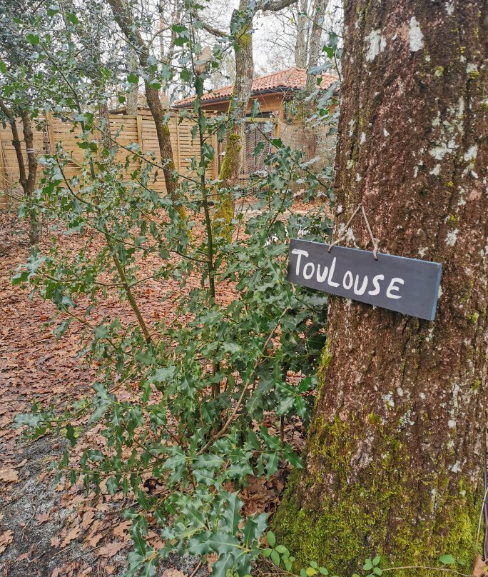 L'Haute en Couleur主图