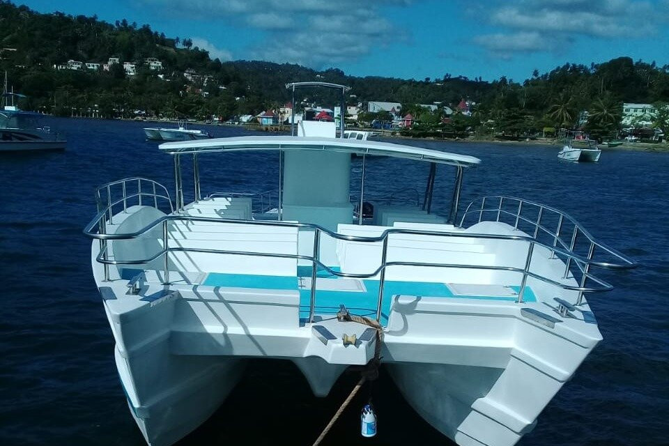 The Whales Las Ballenas