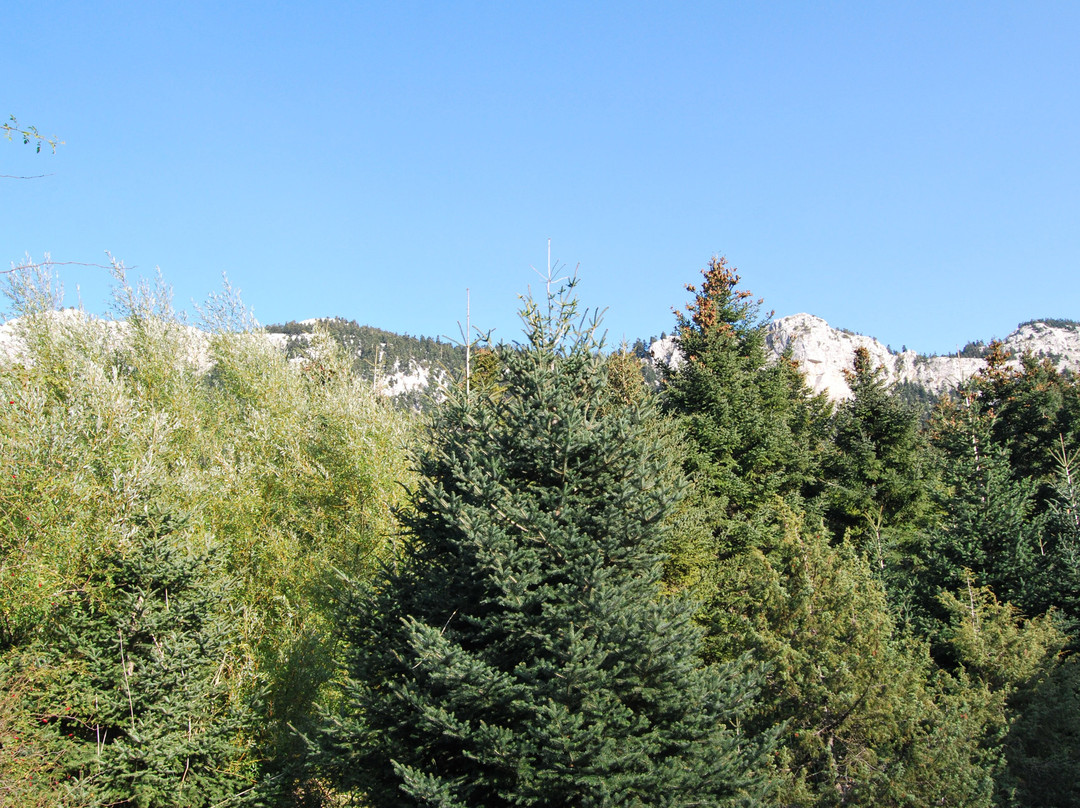 Elatos Resort & Health Club主图