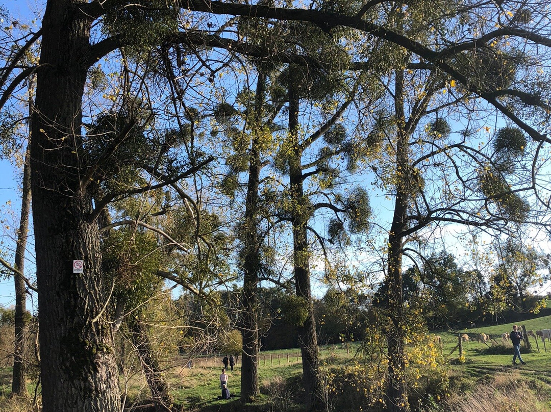 Natuurwandeling-埃彭必去景点