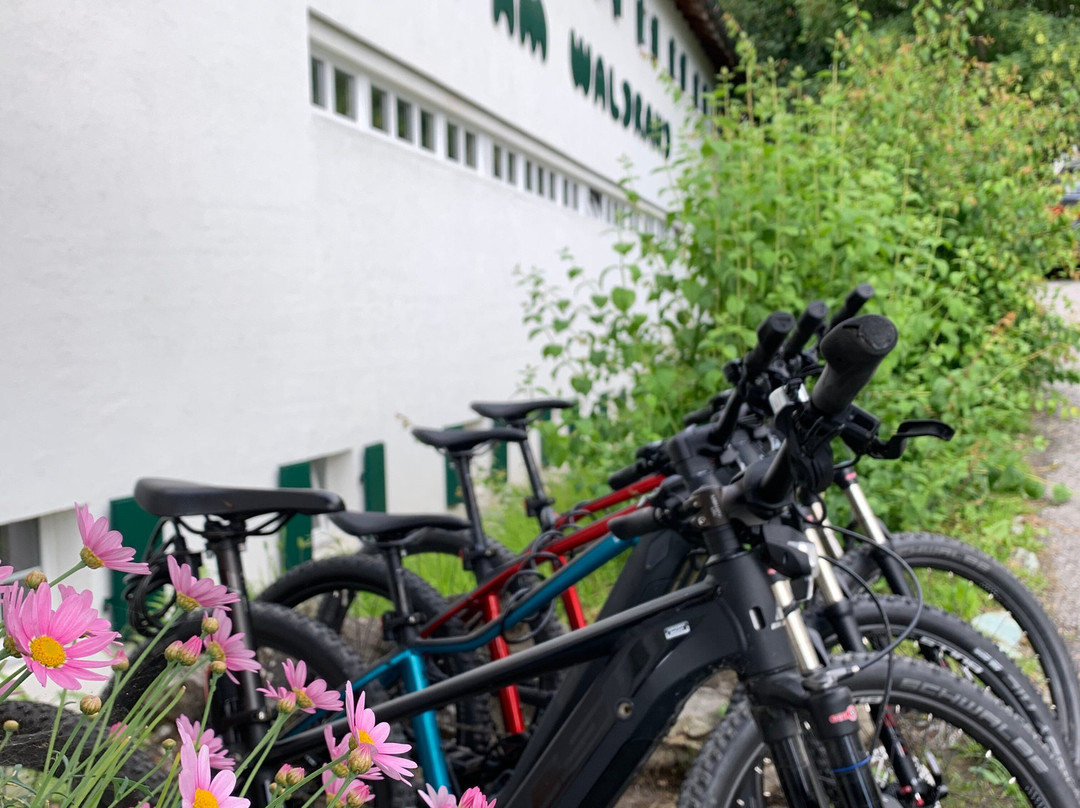 Hotel Haus am Waldrand主图