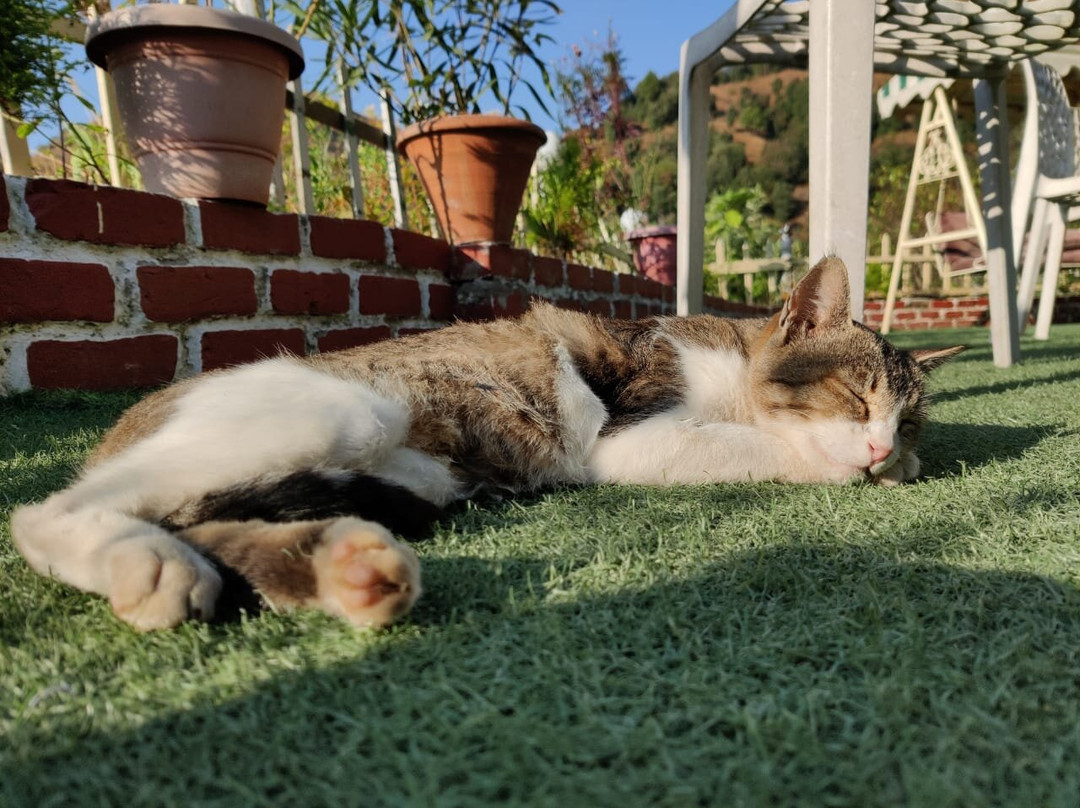 Oakwood Hamlet主图