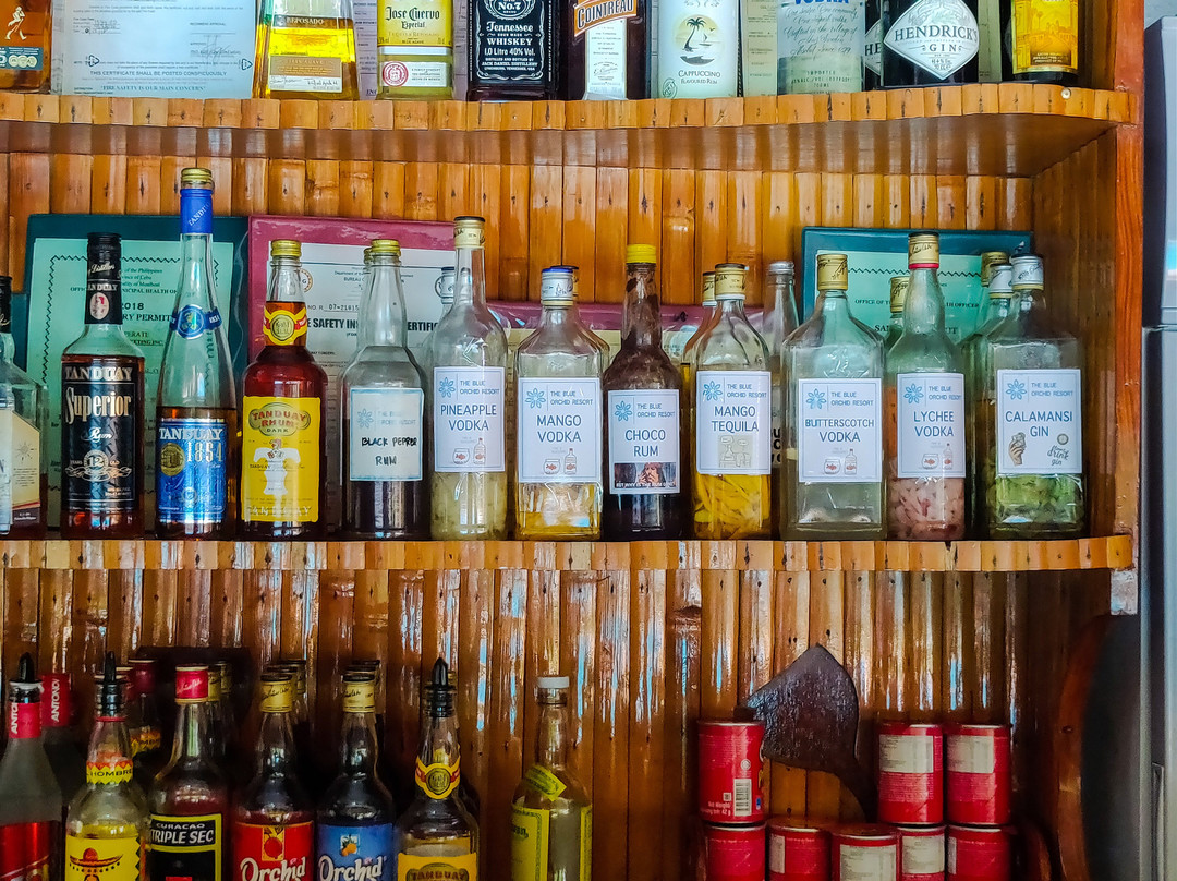 蓝色兰花度假村主图