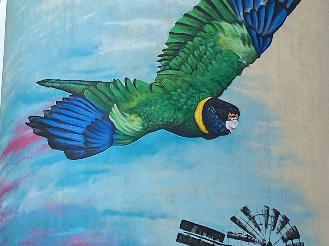 Cowell Silo Art景点图片