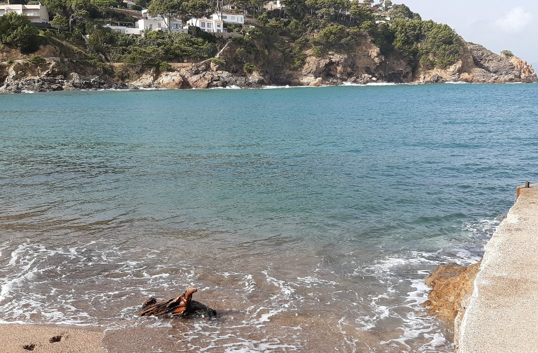 Playa Sa Riera景点图片