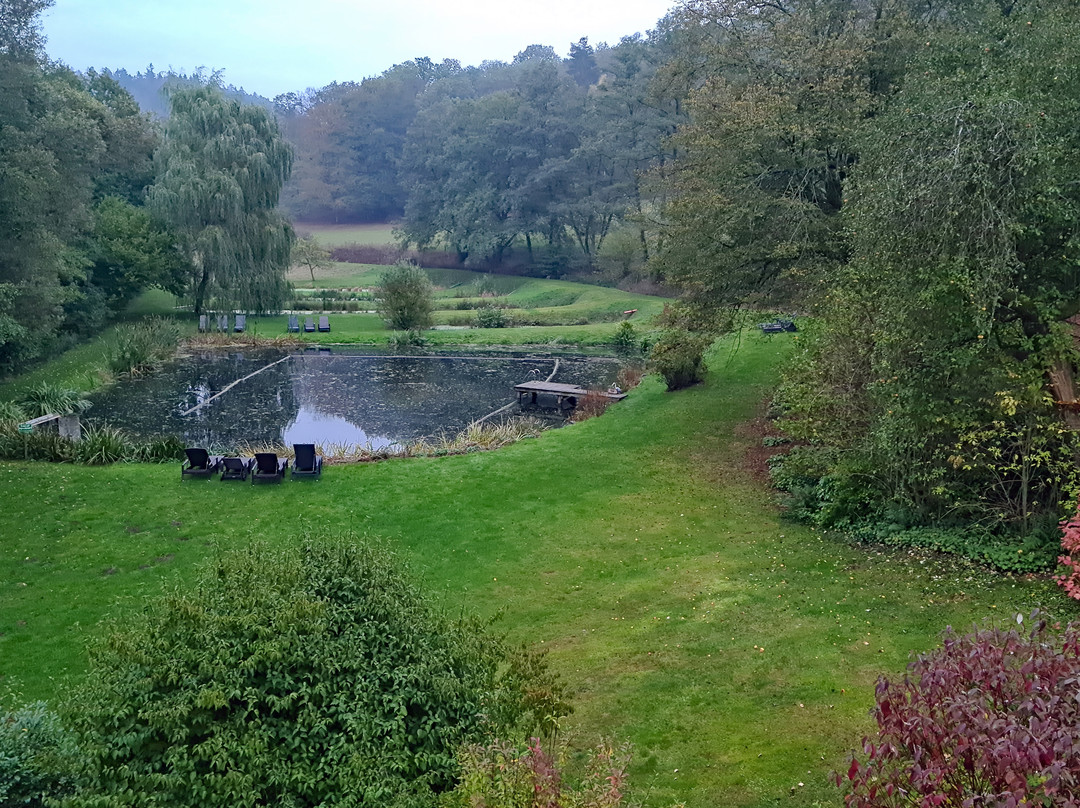 Romantik Hotel Landhaus Bärenmühle主图
