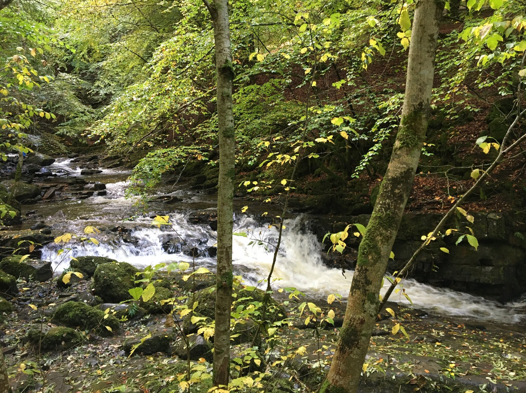 The Birks of Aberfeldy景点图片