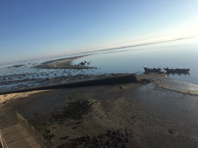 Pousada Ria Aveiro主图