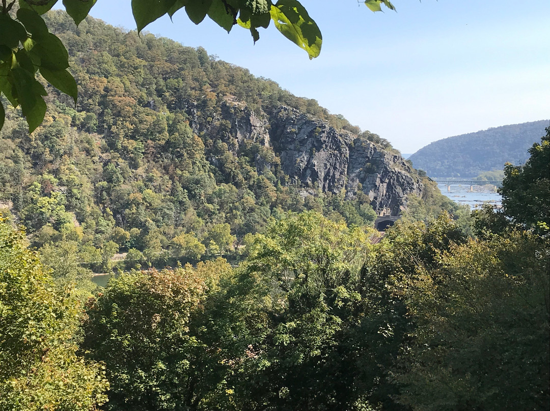 The Ledge House Bed and Breakfast主图