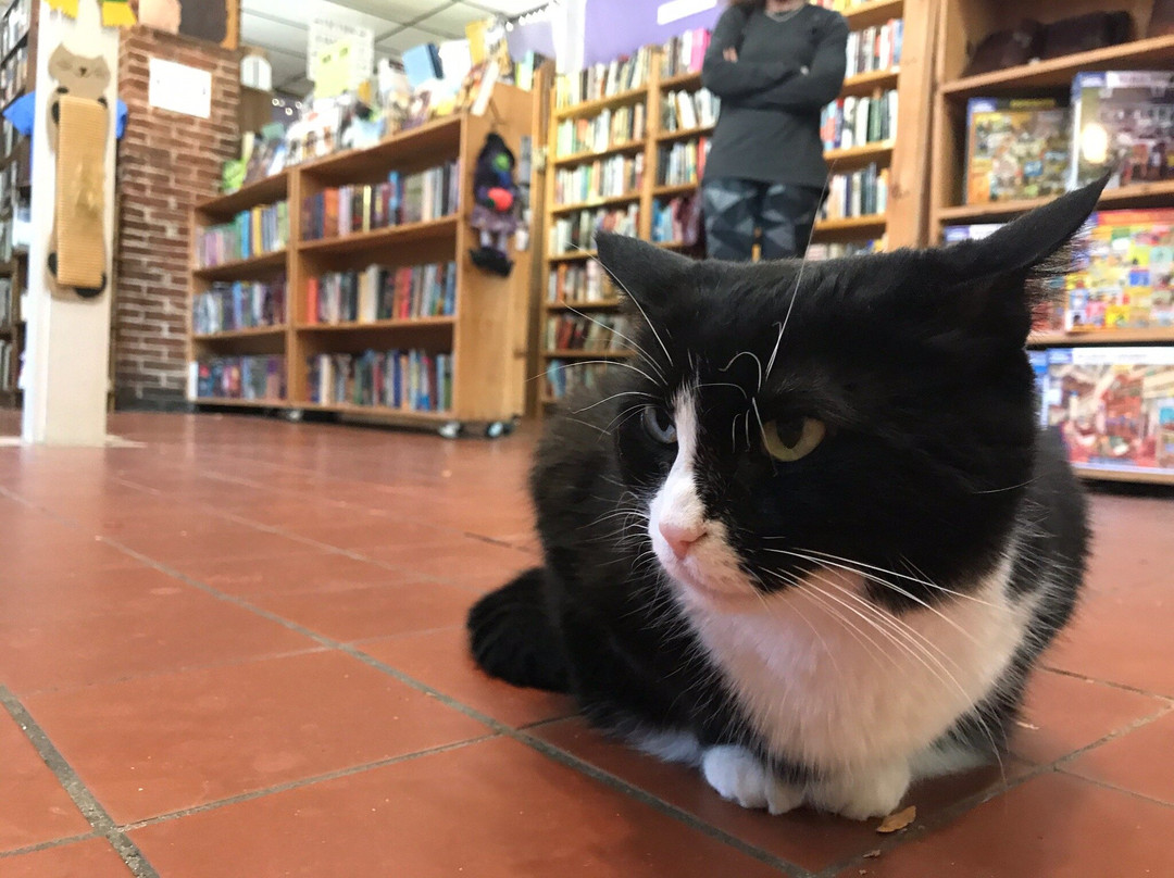 Boswells Books景点图片