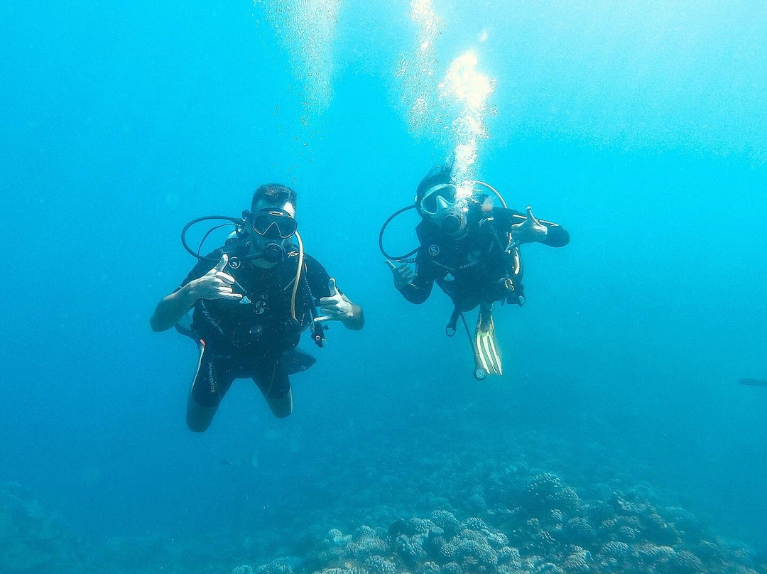 Dive and Sea Tahiti - Base nautique de Puna'auia景点图片