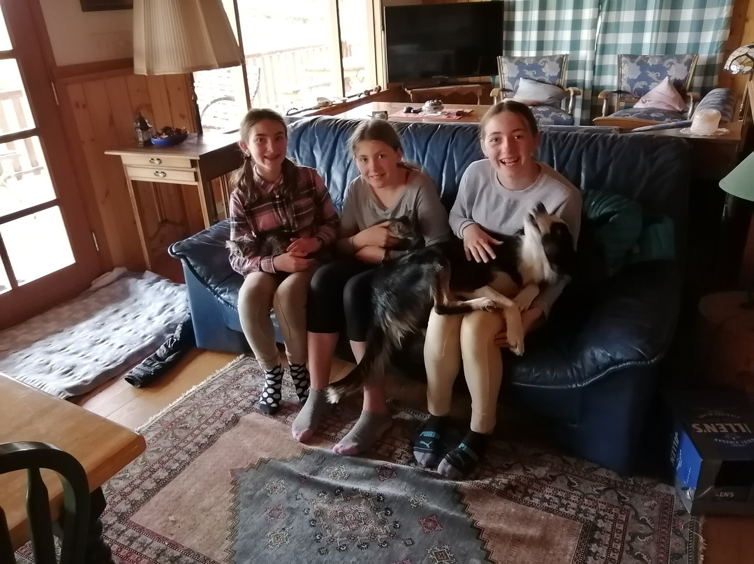 Graham Dunden Ranch Guest Ranch and B&B主图