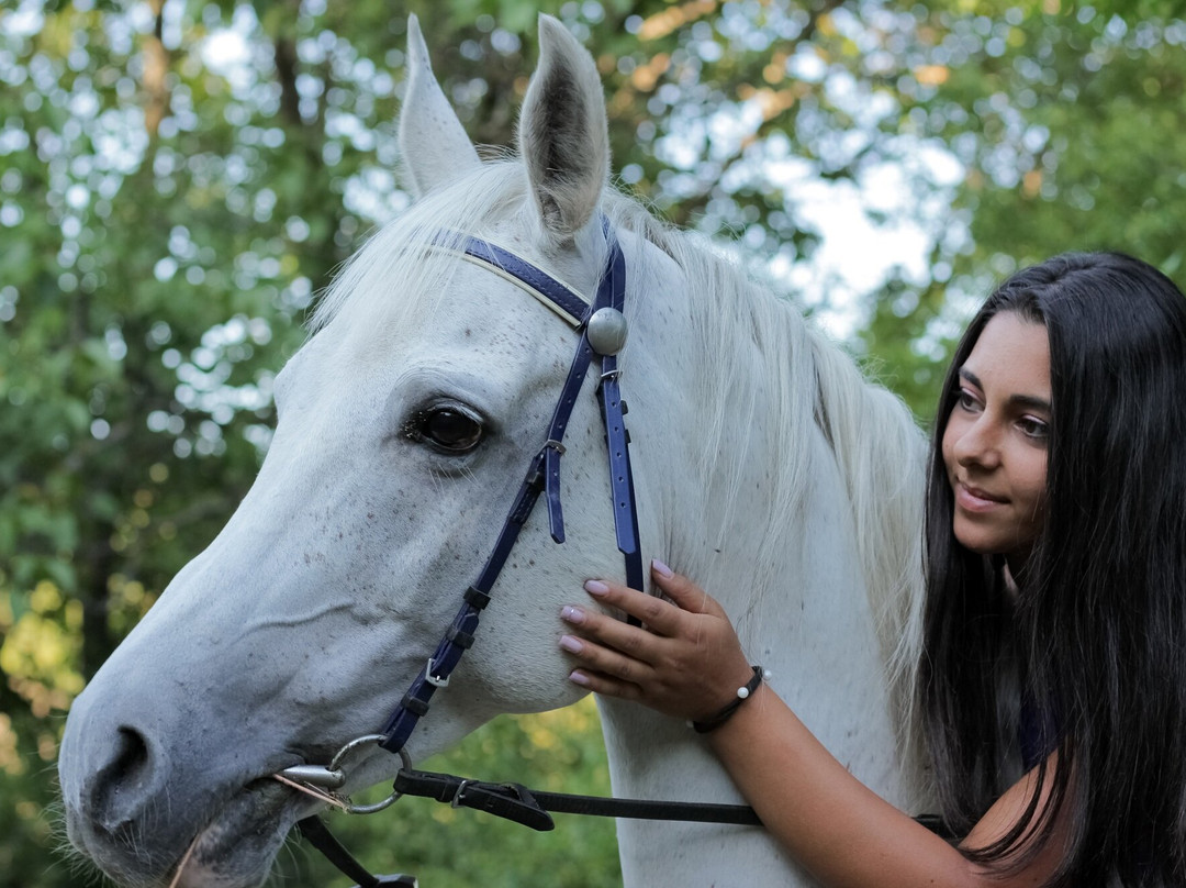 Cossack Horse Riding Club景点图片
