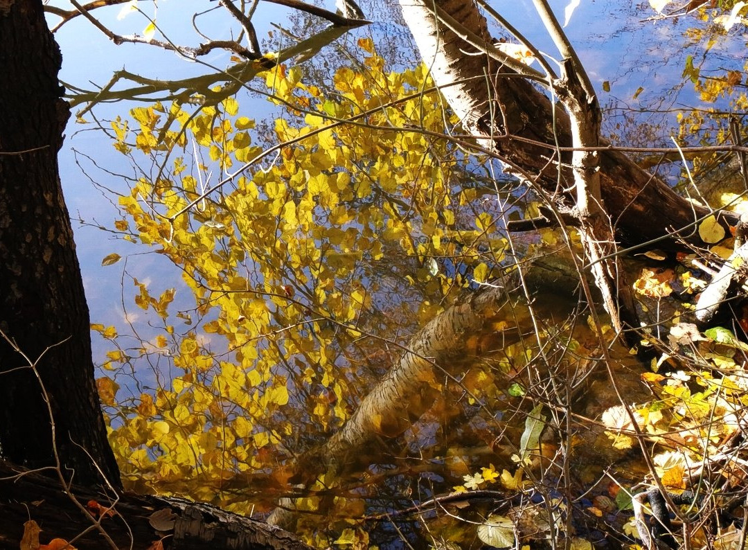 Jezioro Rusałka景点图片
