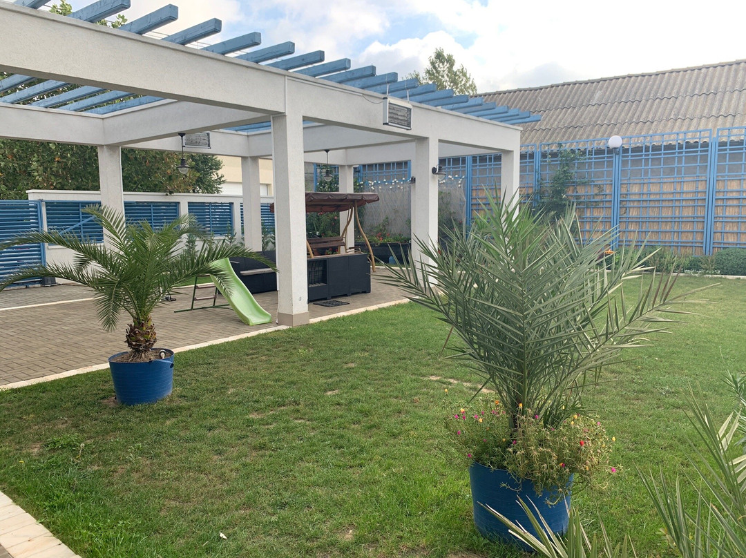 Rasvet