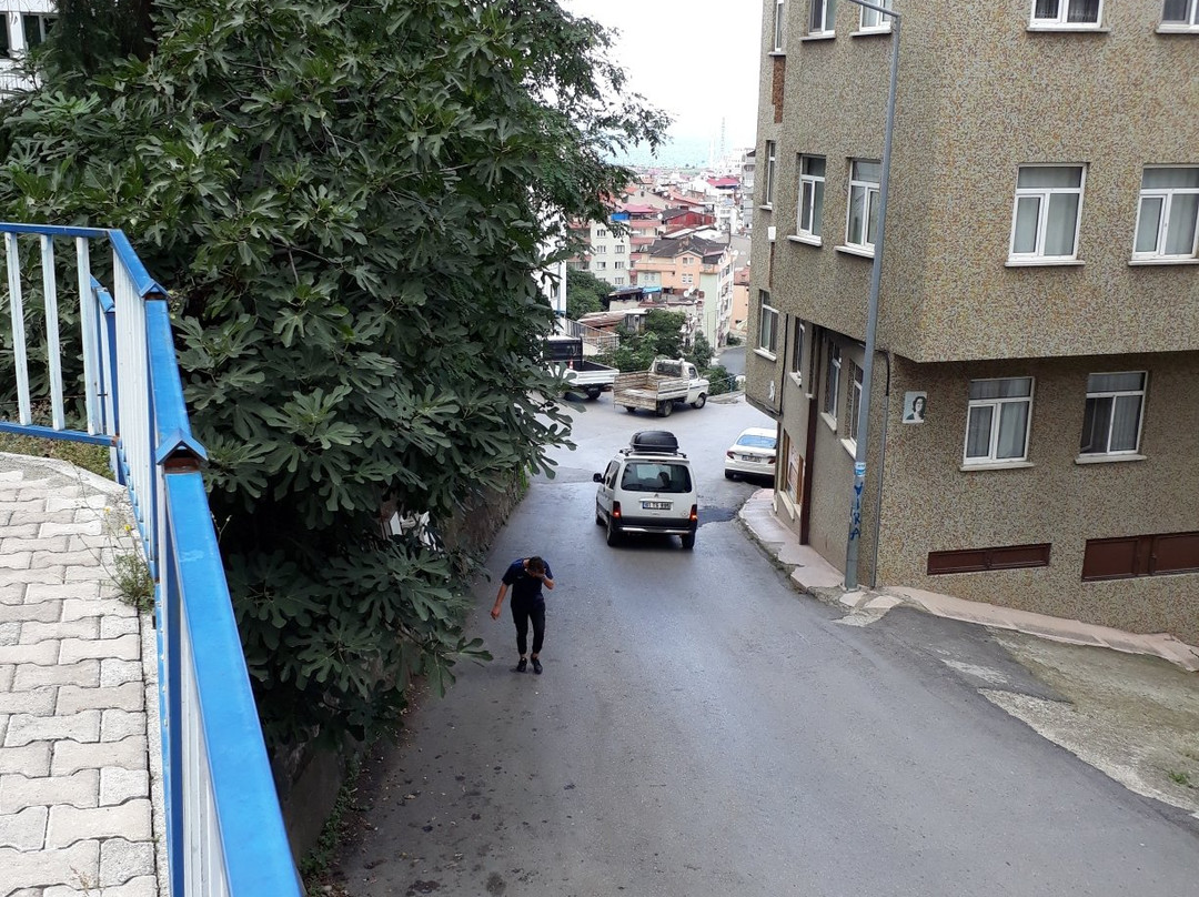 Trabzon Tourist Information景点图片