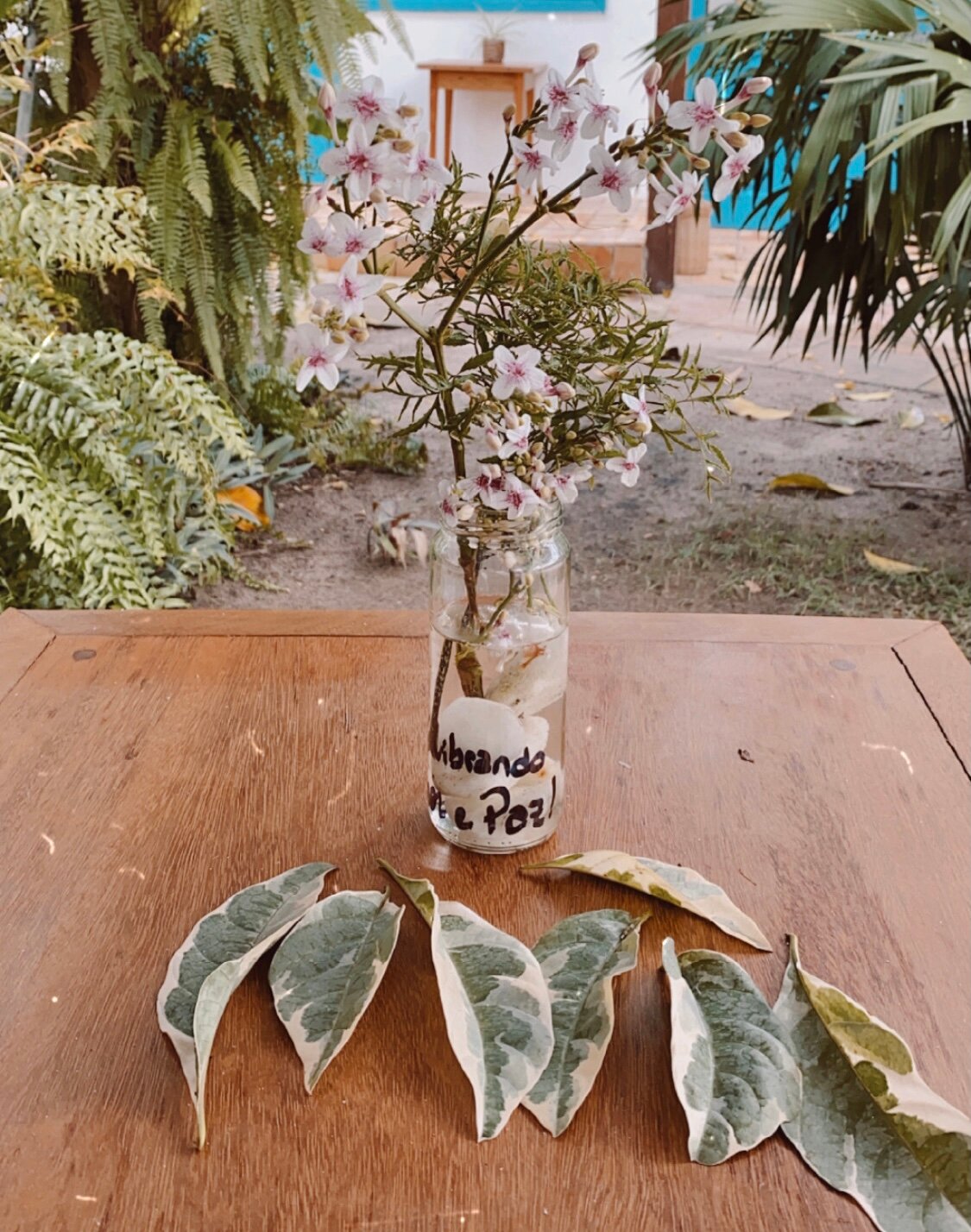 Pousada Da Praia Caraiva-酒店景观