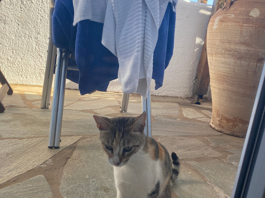 米科诺斯阿巴托斯俱乐部酒店主图