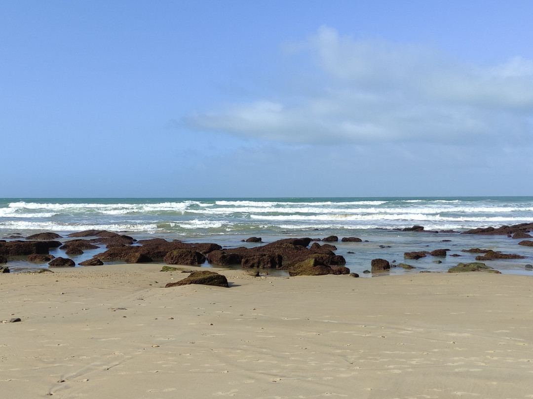 Playa de La Fontanilla景点图片
