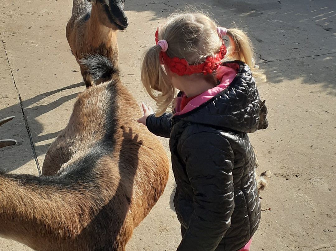 Ostrich Farm Straus Yug-Melitopol必去景点