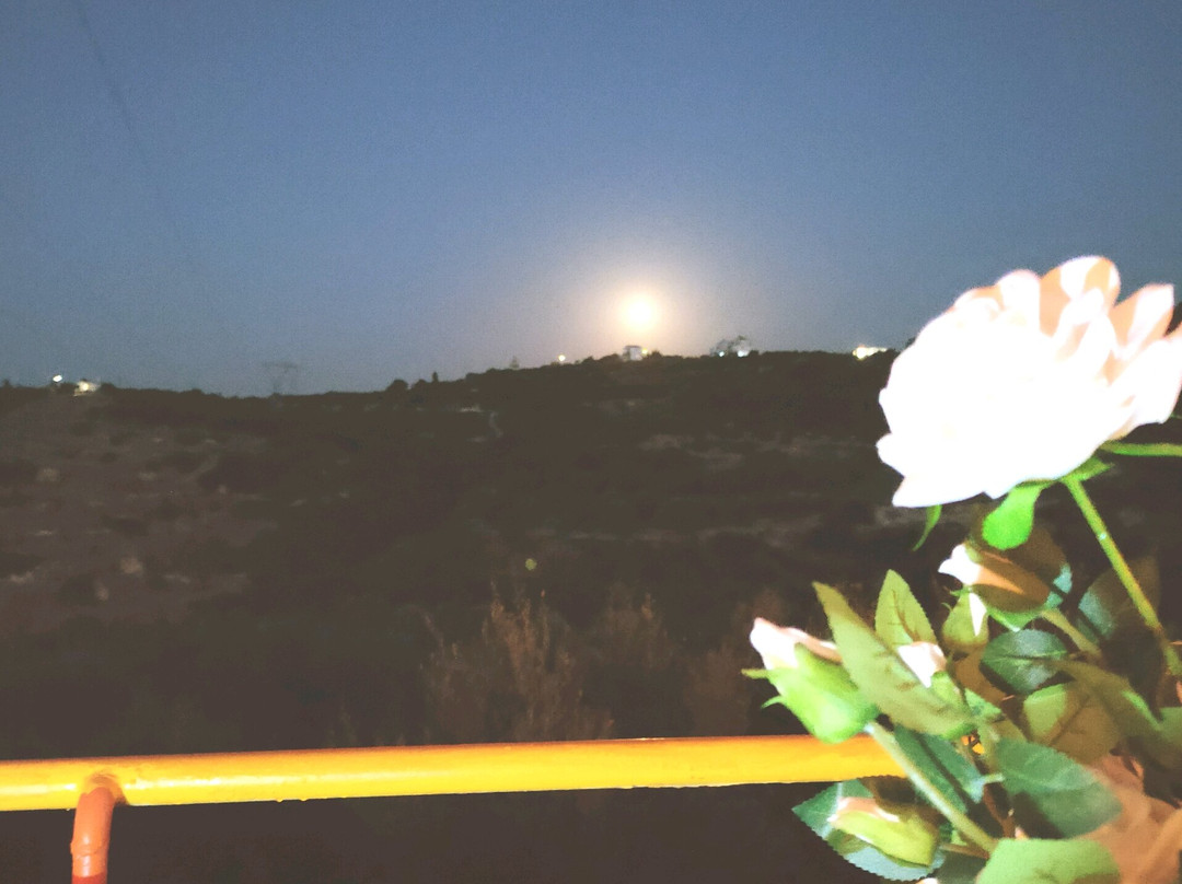 Evli Apartments主图