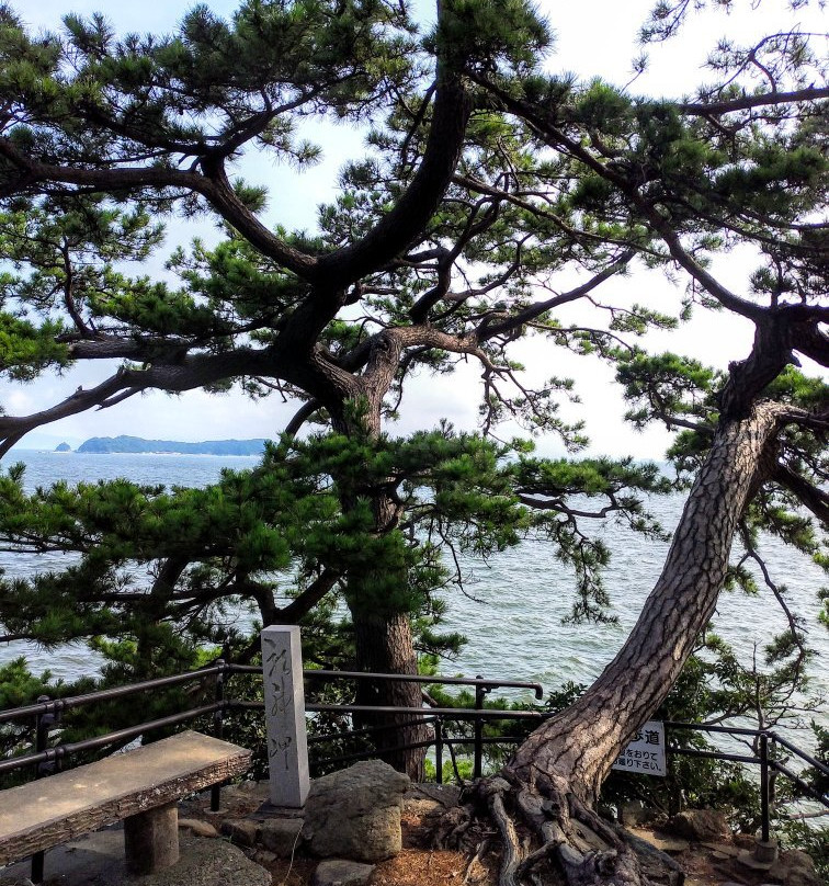 Gamagori Takeshima-蒲郡港必去景点