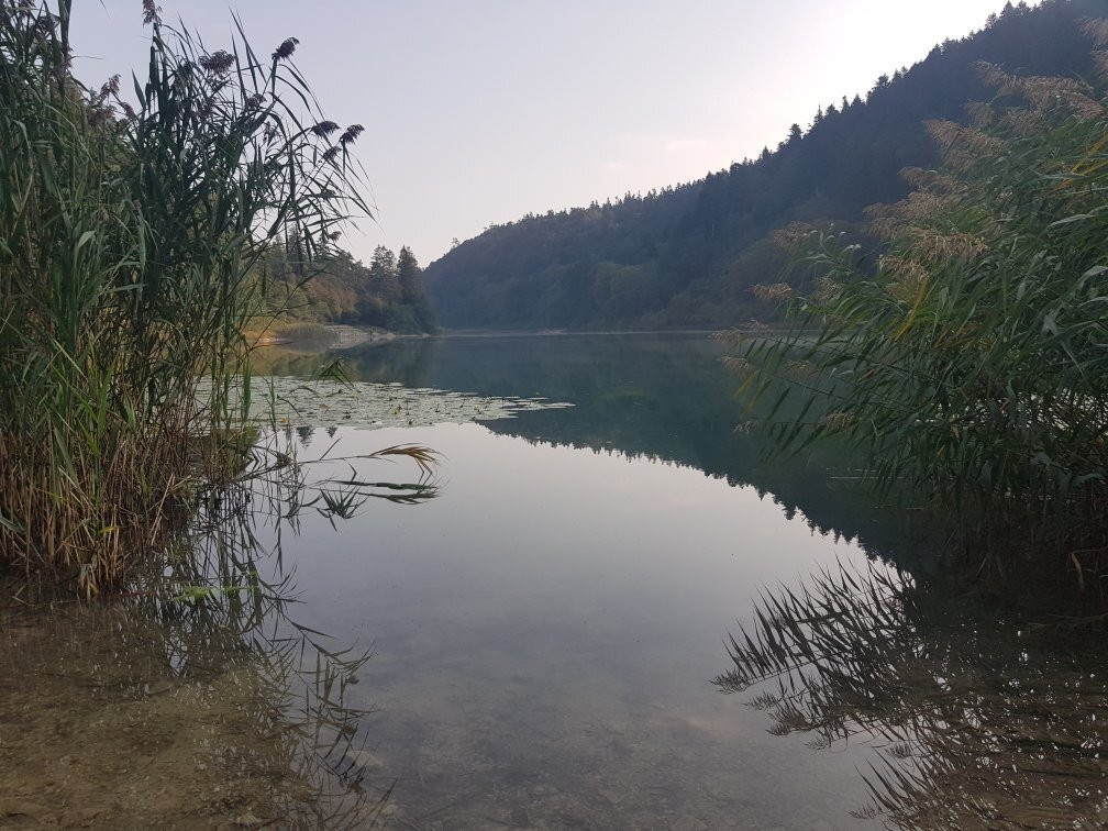 Lake Terlago景点图片