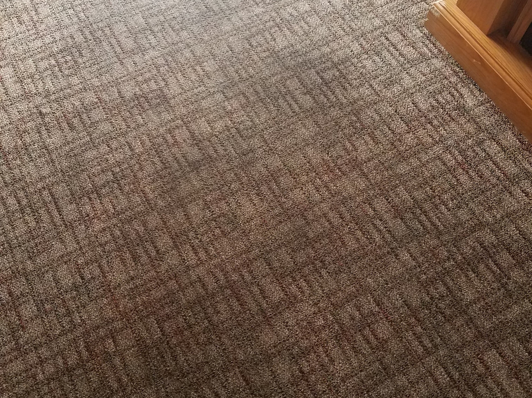 Park Motel and Cabins主图