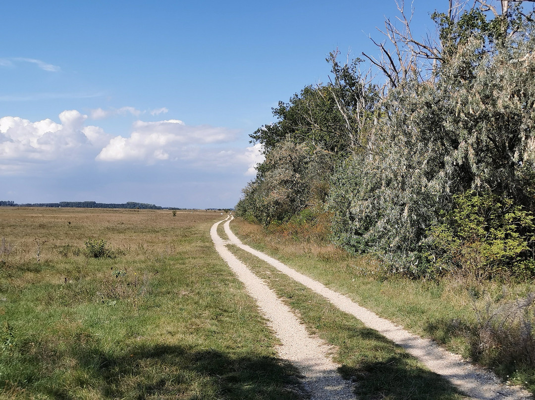 Vogelschutzgebiet Lange Lacke景点图片