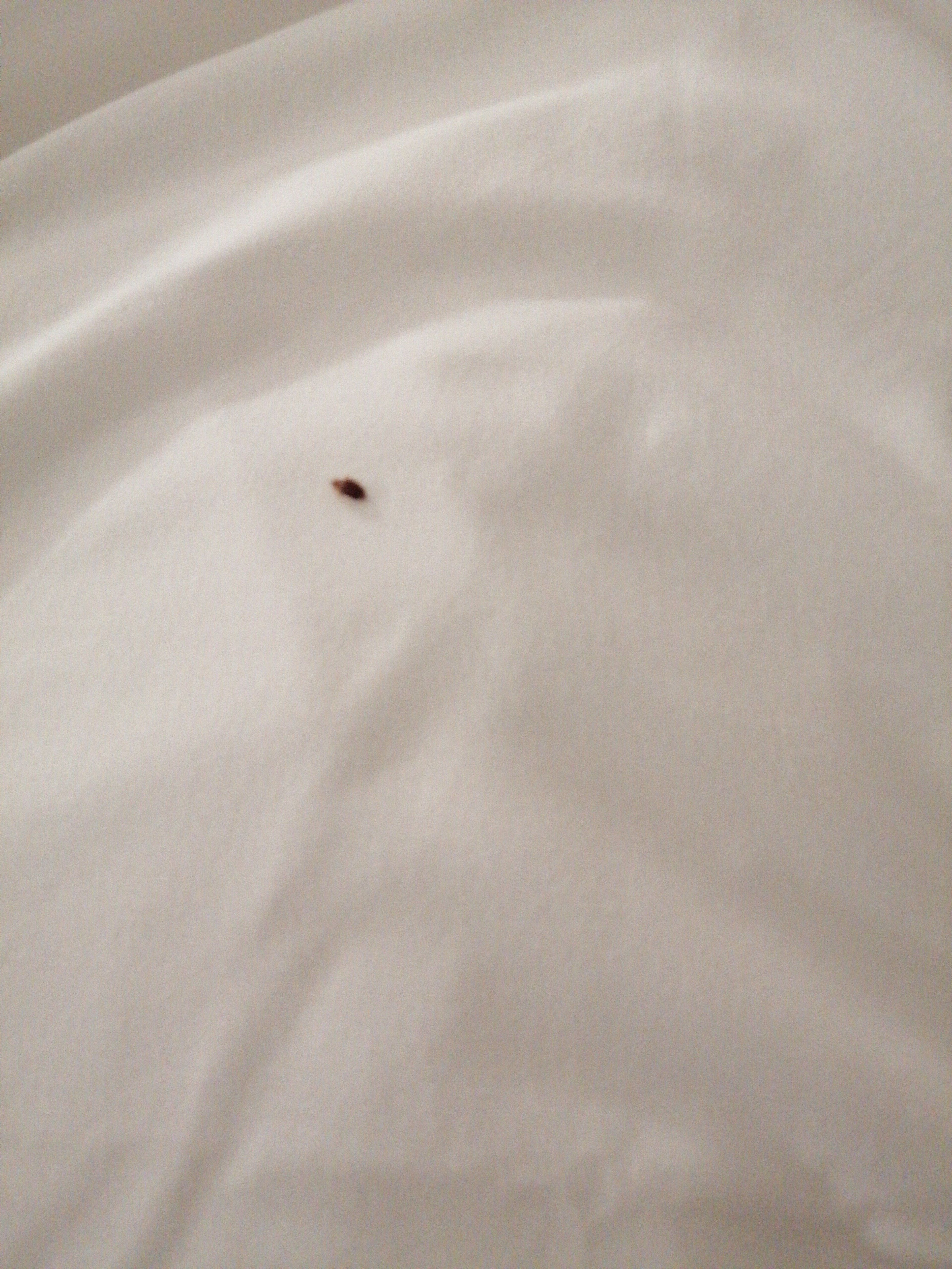 B&B HOTEL Yvetot-官方