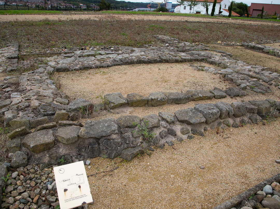 Segedunum Roman Fort and Museum景点图片