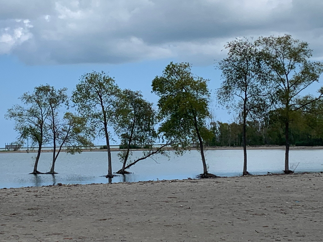 Conneaut Township Park景点图片