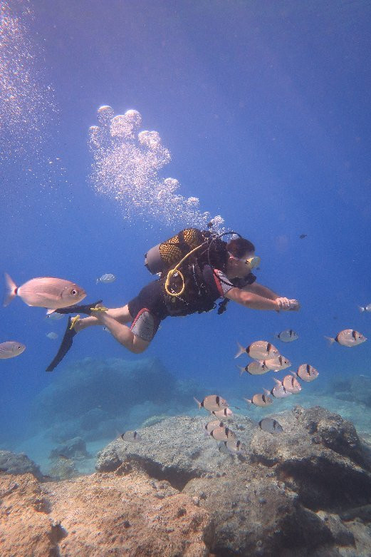 Tekirova Diving Center景点图片