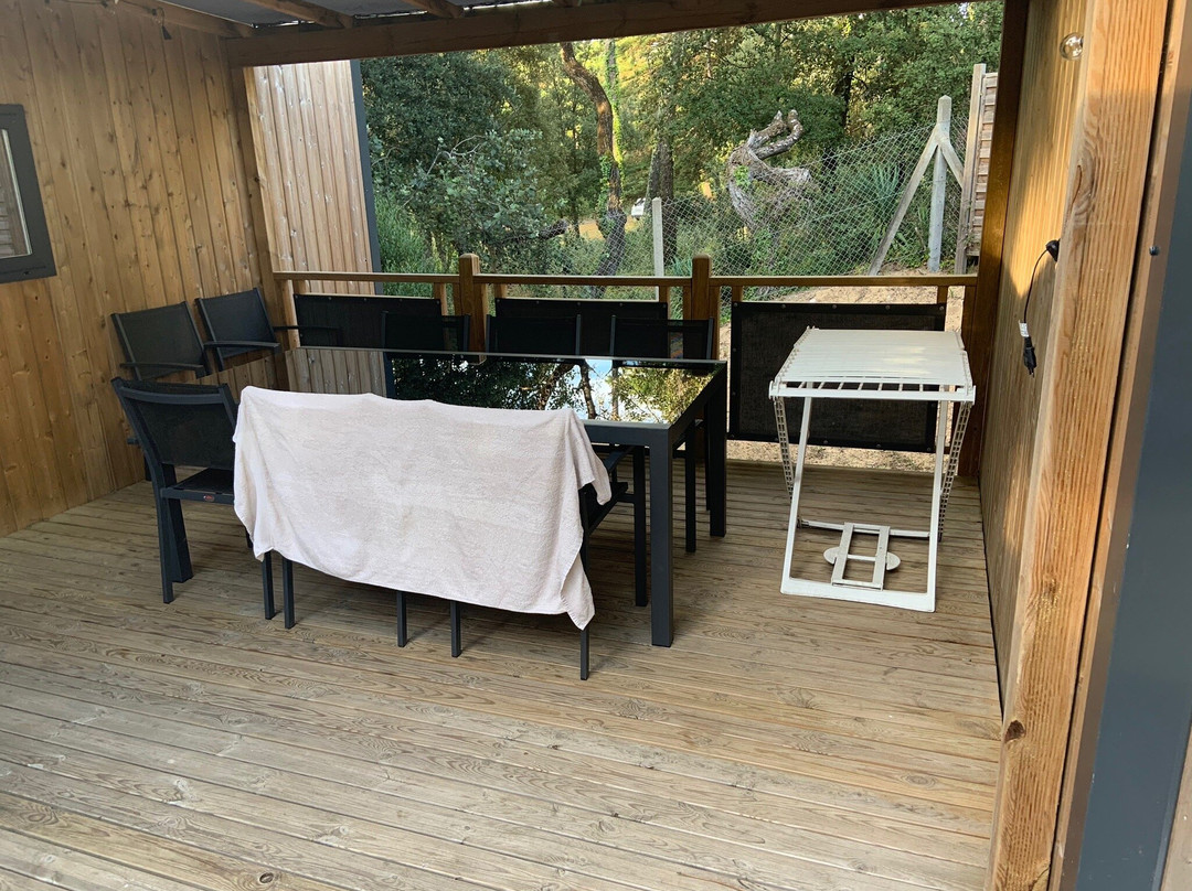 Sandaya Interlude主图