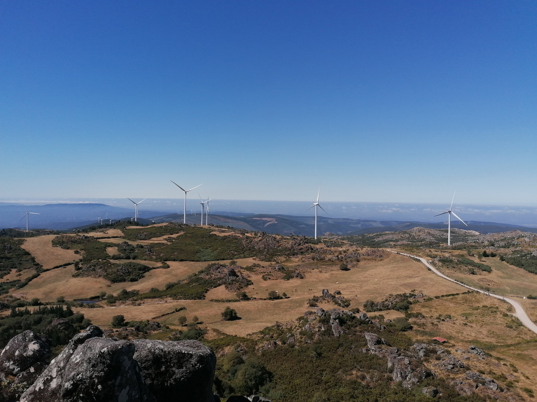 I Love Dao - Casas da Fraga主图