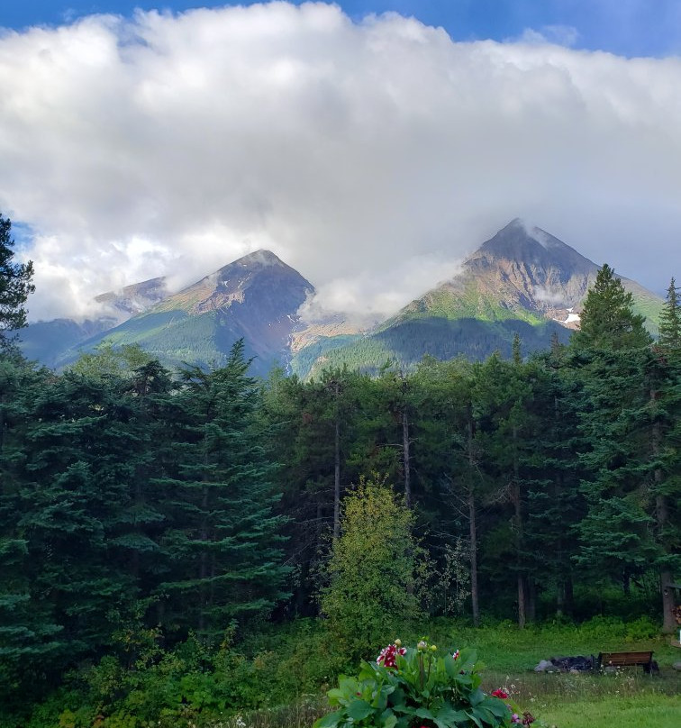 Silvern Lake Trail Bed & Breakfast主图