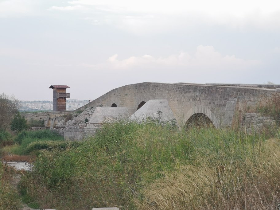 Ponte Romano sul Fiume Ofanto景点图片