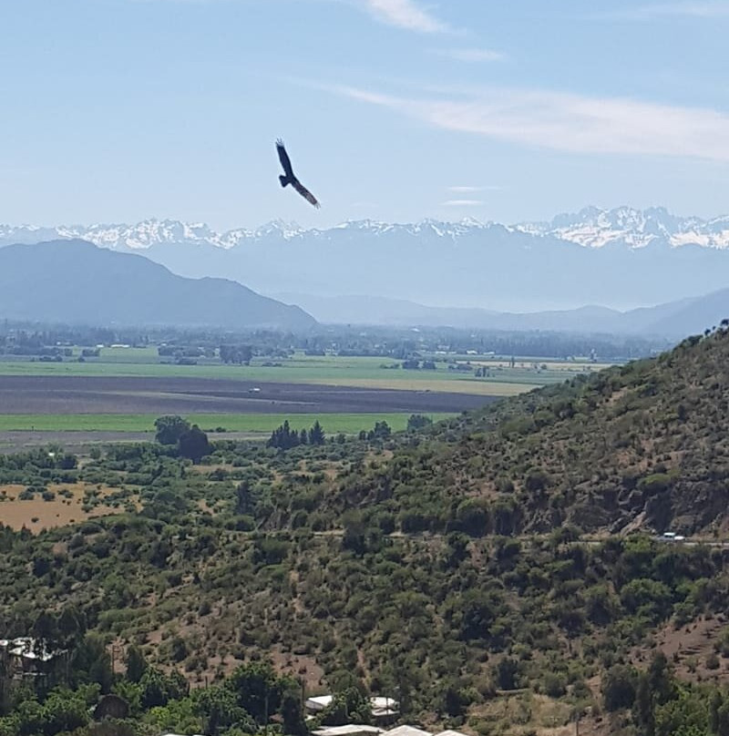 Ruta del Vino - Vinos y Tours-圣克鲁斯必去景点