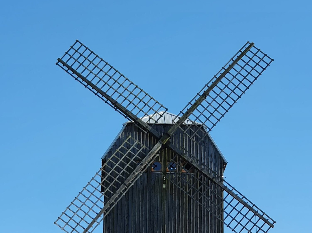 Windmill in Ręboszewo景点图片