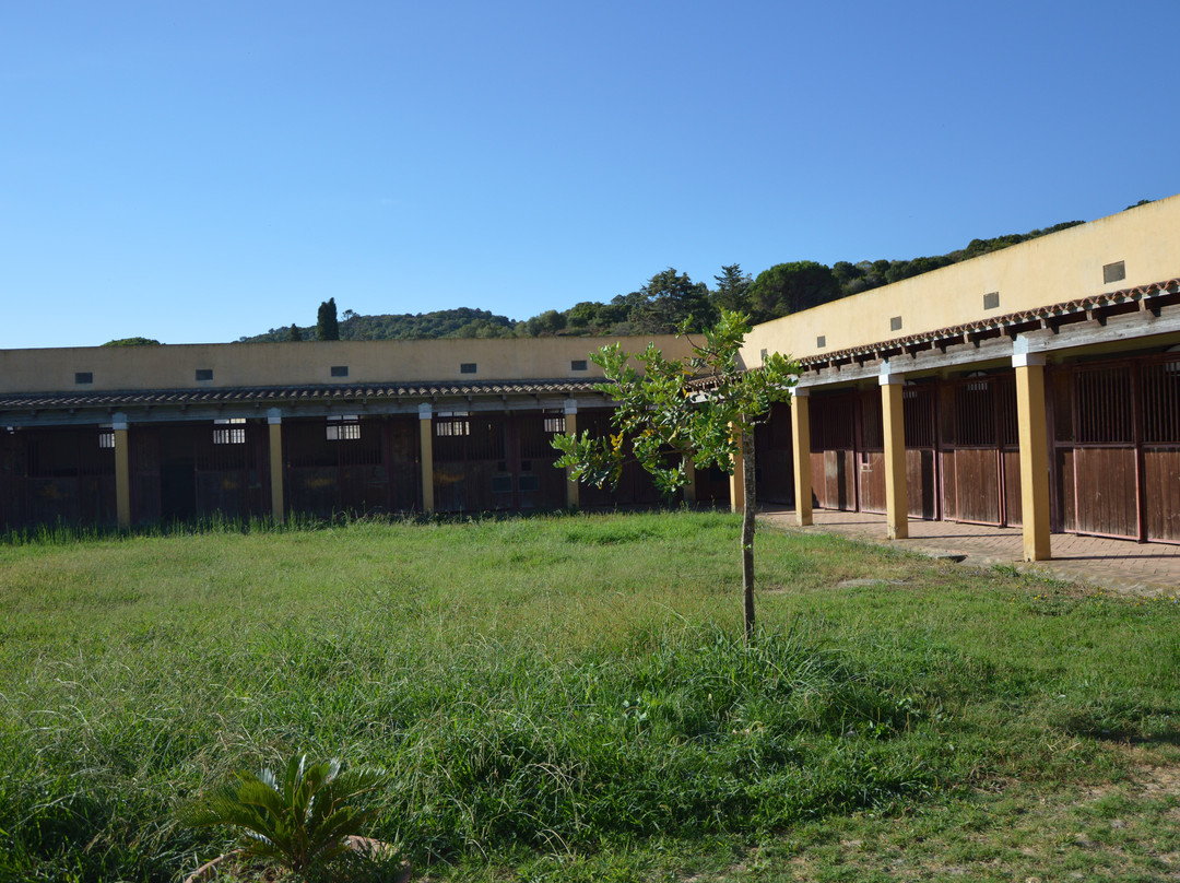 Cavalli di S'Arcaite主图